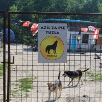 Spendenfahrt Tuzla Juni 2014 006 © thino