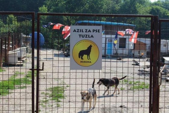 Spendenfahrt Tuzla Juni 2014 006 © thino