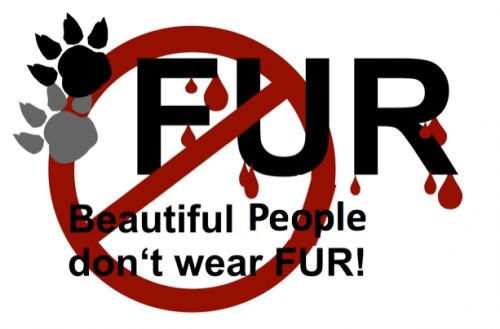 beautiful people dont wear fur © bpdwf