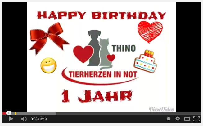 THINO GEBURTSTAG ©thino