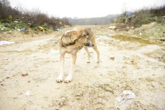 Bosnien November 2013 005 © THINO