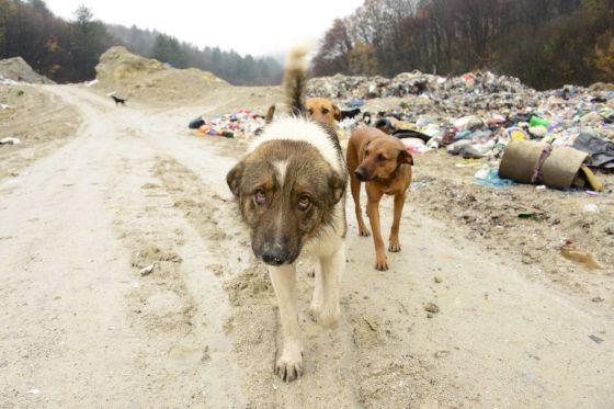 Bosnien November 2013 008 © THINO