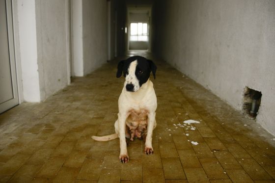 Bosnien November 2013 2 003 © THINO