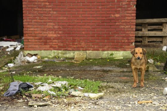 Bosnien November 2013 2 006 © THINO