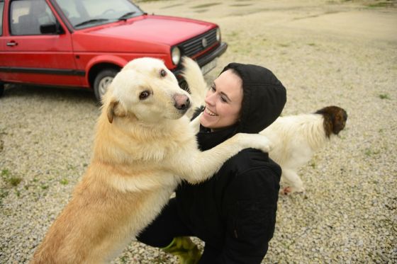 Bosnien November 2013 2 009 © THINO