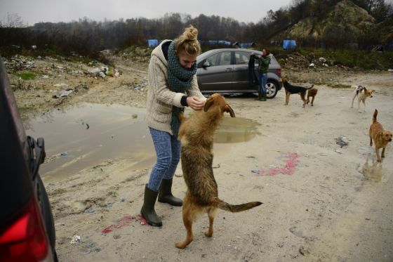 Bosnien November 2013 2 011 © THINO