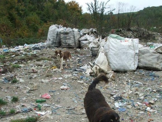 Bosnien Oktober 2013 2 007 © THINO