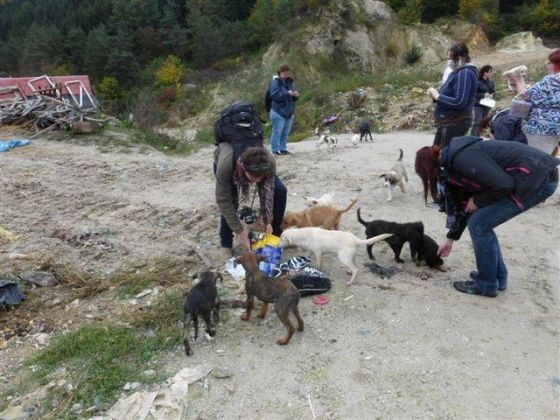 Bosnien Oktober 2013 3 001 © THINO