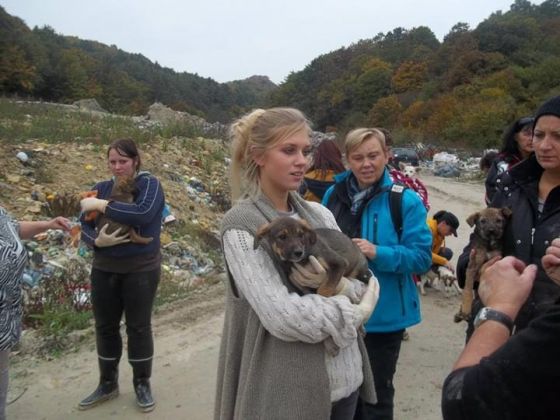 Bosnien Oktober 2013 3 005 © THINO