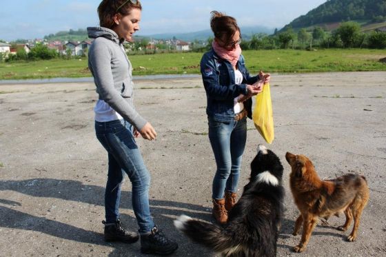Spendenfahrt April & Mai 2014 © thino