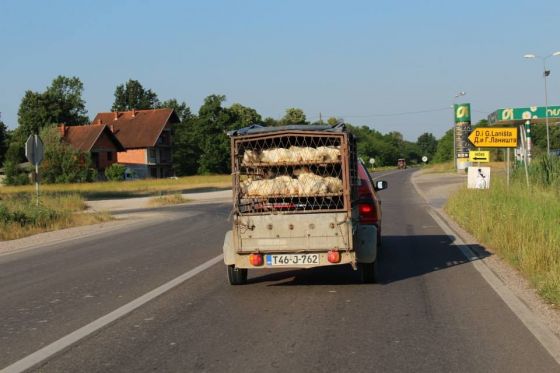 Spendenfahrt Tuzla Juni 2014 003 © thino