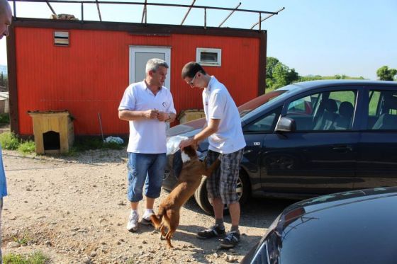 Spendenfahrt Tuzla Juni 2014 056 © thino