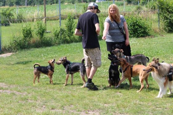 Vereinstreffen THINO 018 © THINO