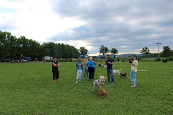 Vereinstreffen THINO 027 © THINO