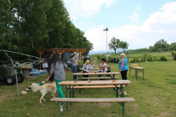 Vereinstreffen THINO 029 © THINO