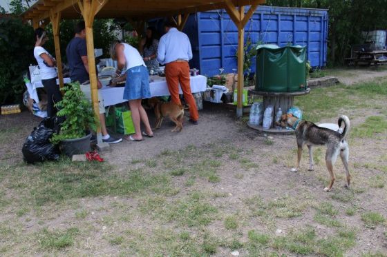 Vereinstreffen THINO 065 © THINO