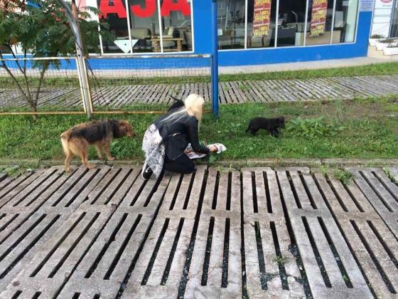 Tuzla Reise Besuch Pension 21.09.2014 002 © thino