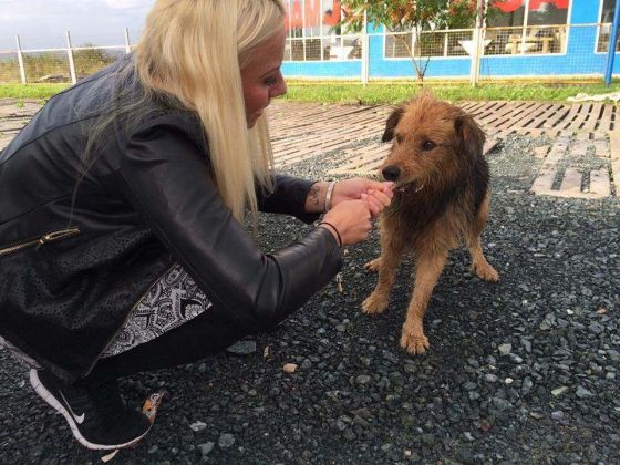 Tuzla Reise Besuch Pension 21.09.2014 006 © thino