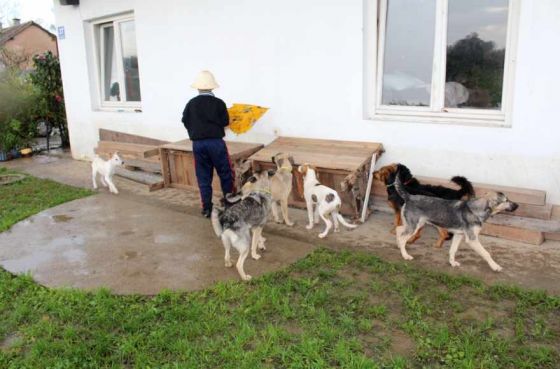 Tuzla Reise Besuch Pension 21.09.2014 010 © thino