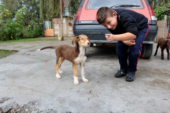 Tuzla Reise Besuch Pension 21.09.2014 024 © thino