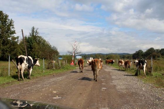 Tuzla Reise Besuch Pension 21.09.2014 035 © thino