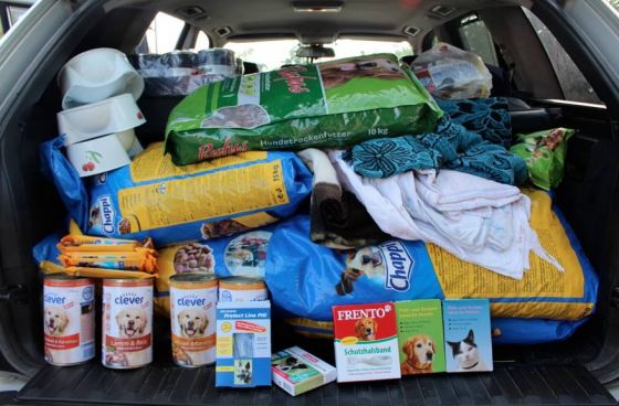 Hilfe für die 250 Hunde in Banovici / Bosnien 030 © thino