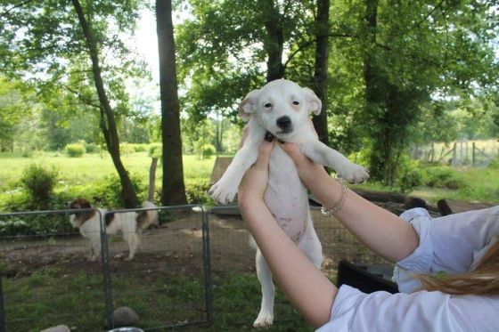 Banovici Juni 2016 001 © thino
