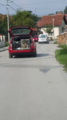 Zunonvica 005 © Thino