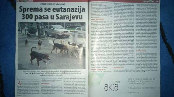 Zunonvica 025 © Thino