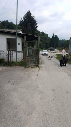 Zunonvica 14.09.16 012 © thino