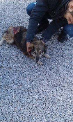 Zoe aus Bihac 003 © Thino