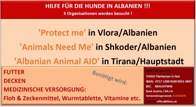 Albaniens Hunde © thino