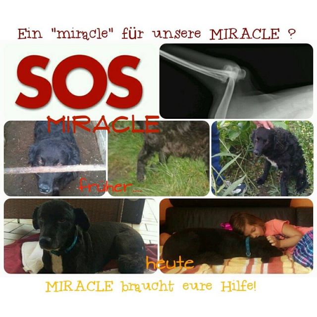 Miracle OP © thino