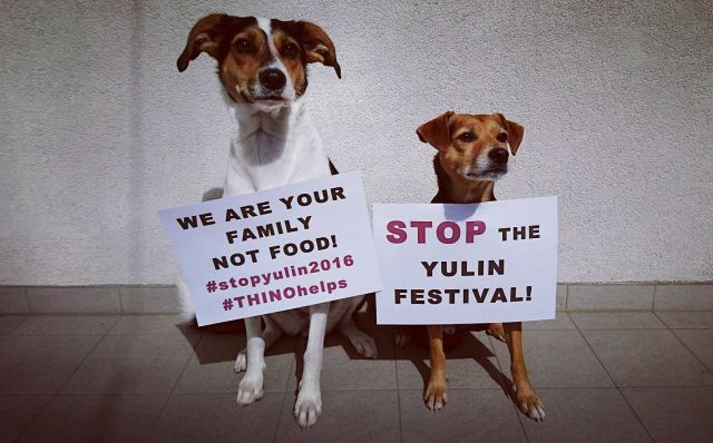 Gegen das Hundefleischfestival in Yulin! © thino