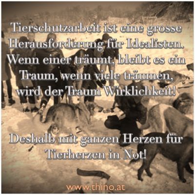 Tierschutz © THINO