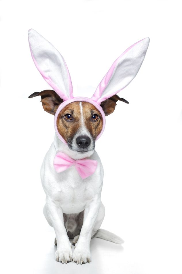 Frohe Ostern © fotolia